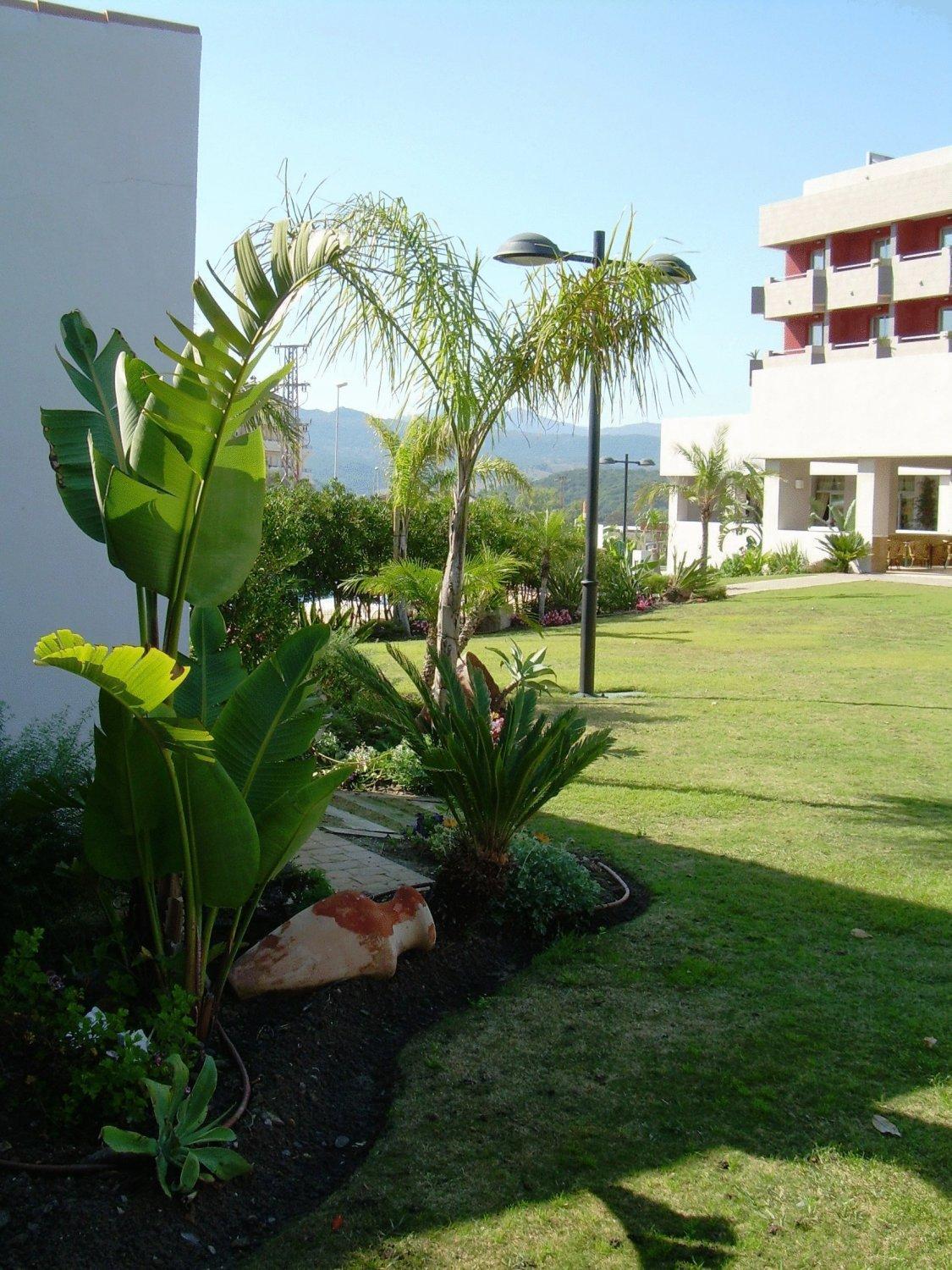 Hotel Montera Plaza Los Barrios Eksteriør billede
